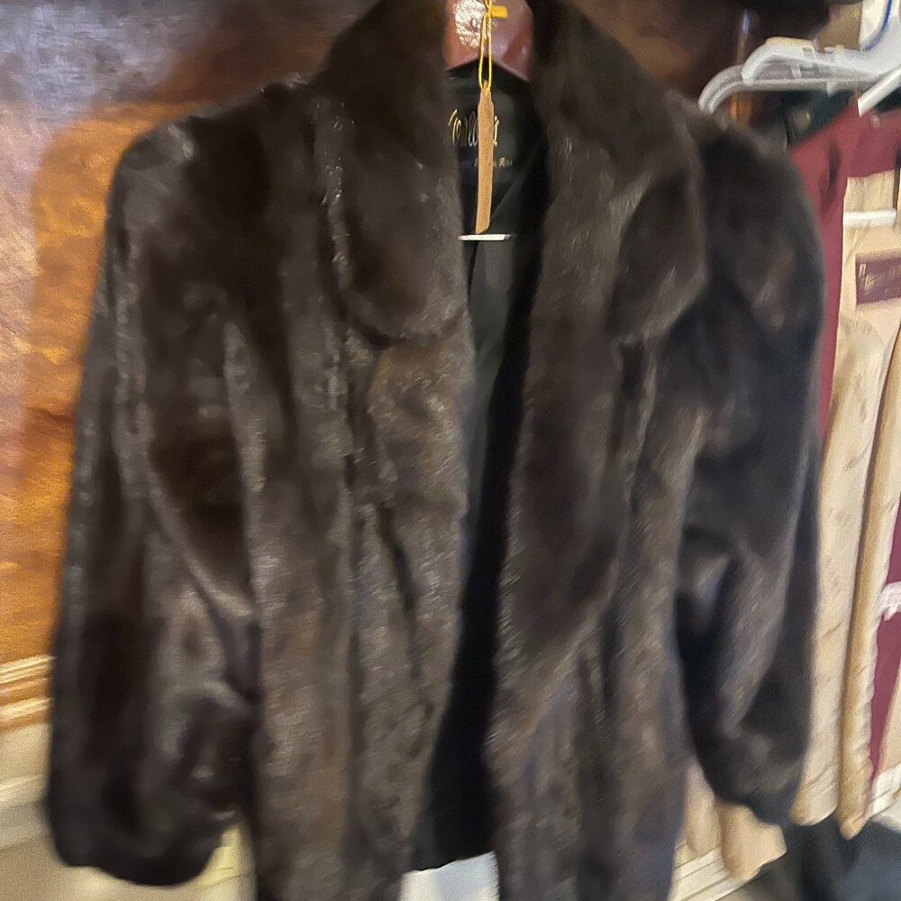 Mink Coat